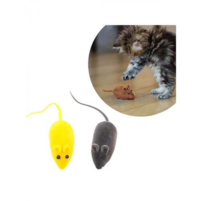 Kedi Fare Yakalama Oyuncağı, Sevimli Sesli Eğitim Aracı