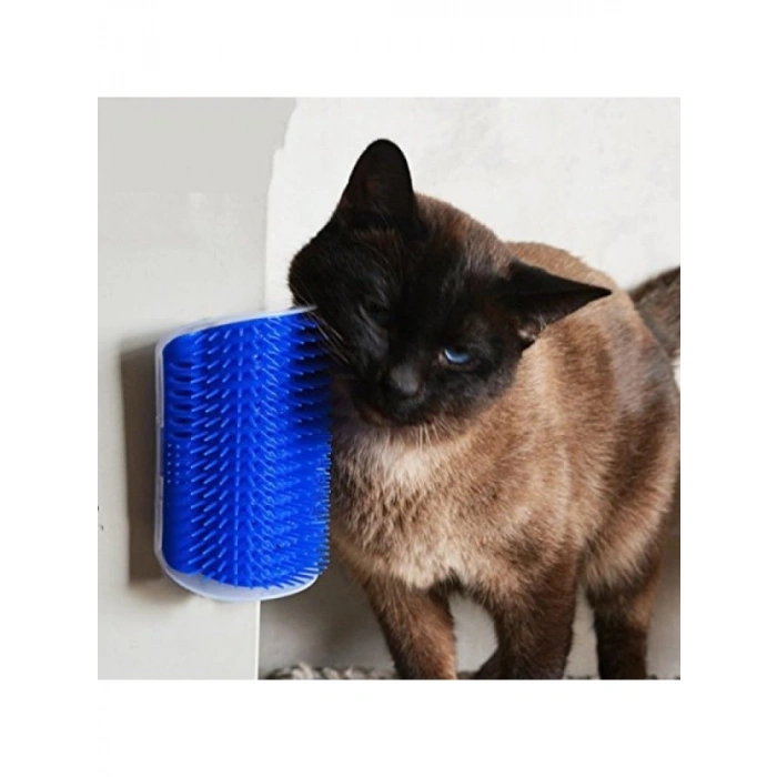 Kedi Kaşınma Aparatı, Kaşınma İhtiyacı İçin