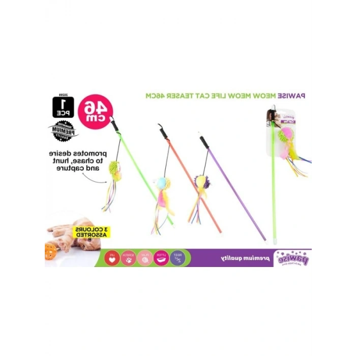 Kedi Oltası ile Eğlenceli Oyun