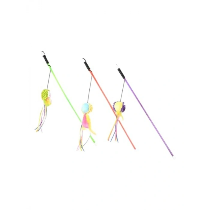 Kedi Oltası ile Eğlenceli Oyun