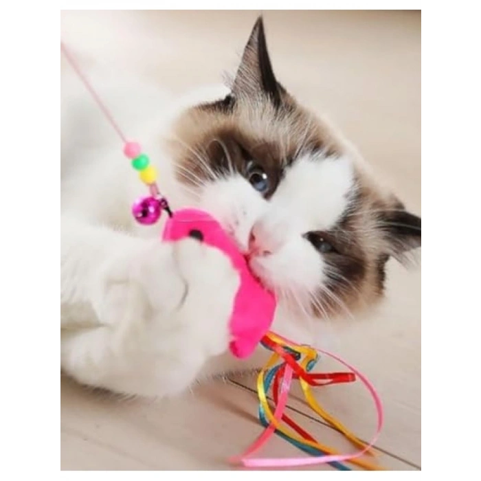 Kedi Oyun Oltası (Balık Tasarımı)