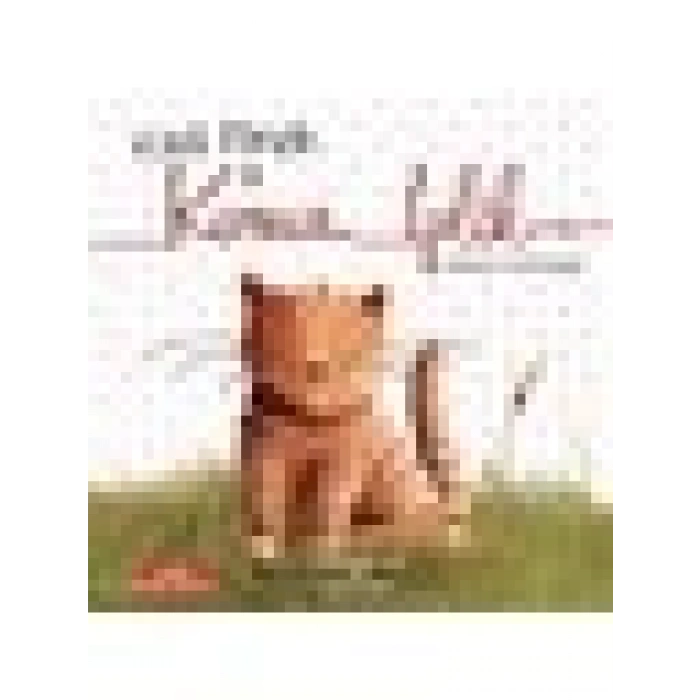 Kedi Ponçik ile Kırmızı İplik - Andrea Reitmeyer