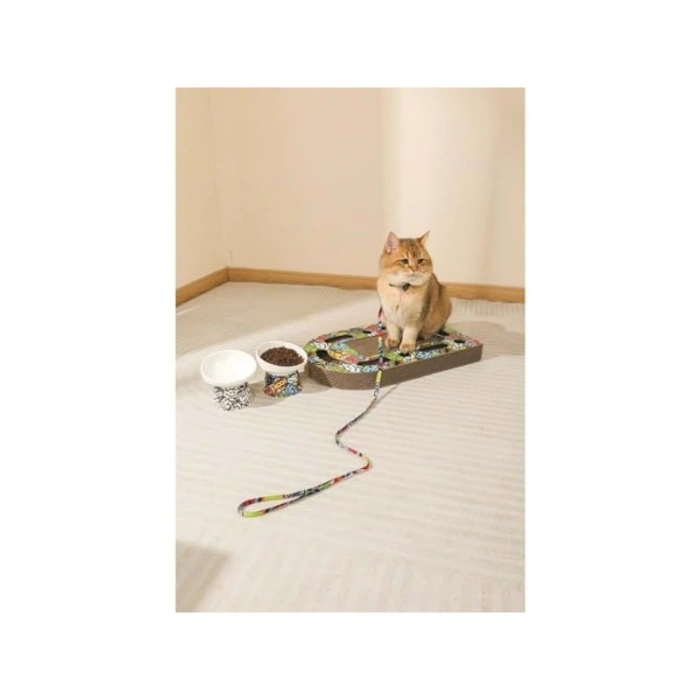 Kedi Tırmalama Kartonu, Renkli Mix Tasarım