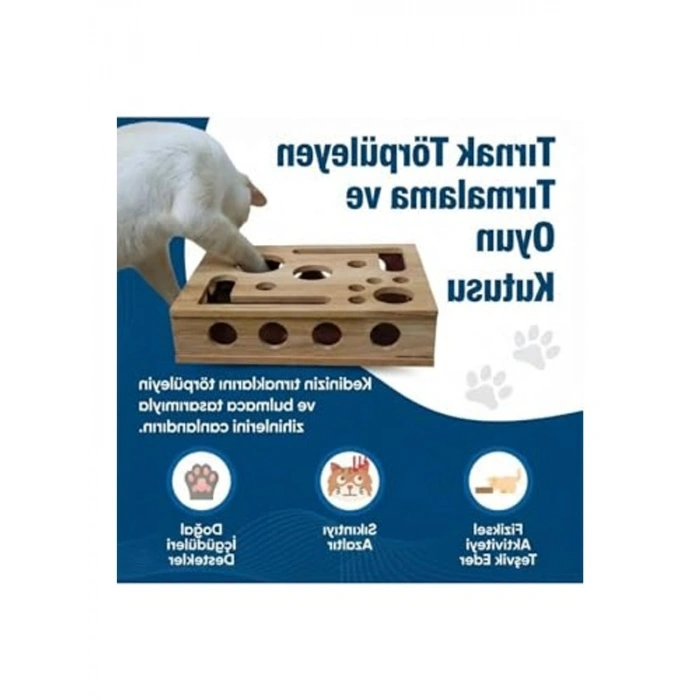 Kedi Tırmalama ve Oyun Kutusu, İnteraktif Kullanım İçin