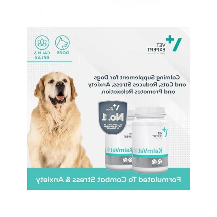 Kedi ve Köpek İçin 500 ml Su Kabı, Mavi Renk