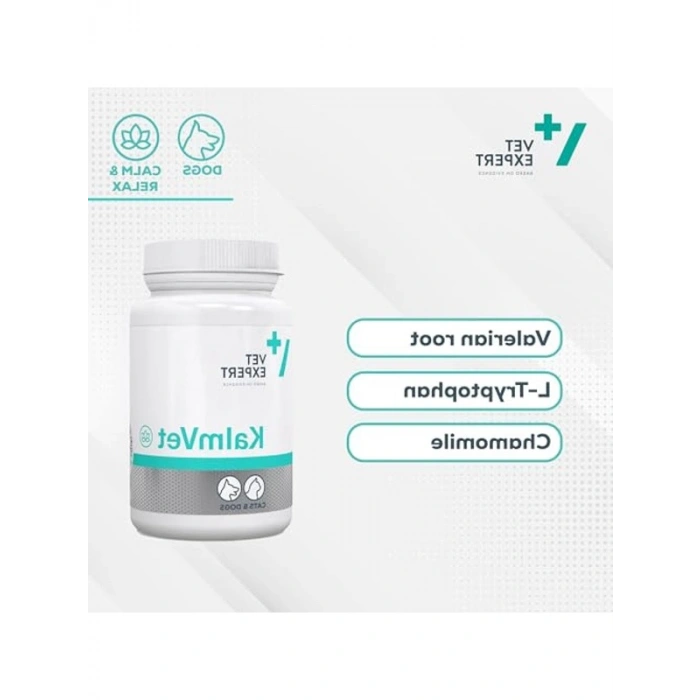 Kedi ve Köpek İçin 500 ml Su Kabı, Mavi Renk