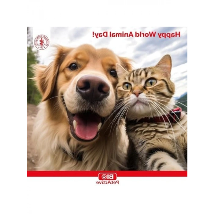 Kedi ve Köpekler İçin Ağız Bakım Ürünü, Biodent Mist