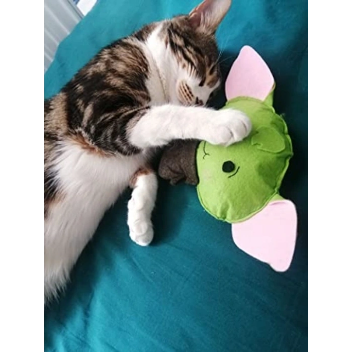 Kedi Zili ve Catnip İçeren Dino Youda Oyuncak