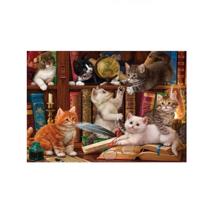 Kediler ve Kitaplar Temalı 500 Parça Puzzle