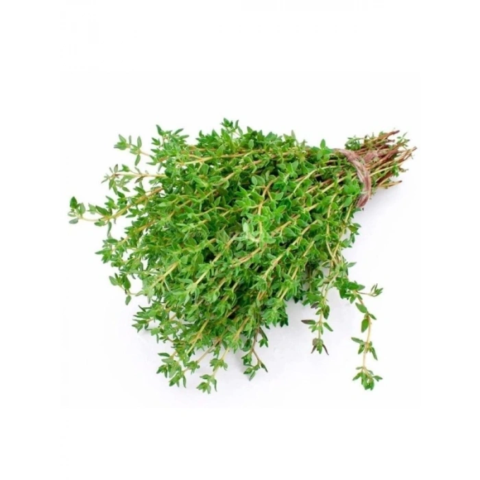 Kekik Tohumu (Çoklu Paket) - 3 Gram