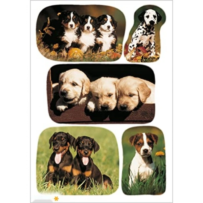 Kendinden Yapışkanlı Renkli Hayvan Çıkartmaları - 15 Adet