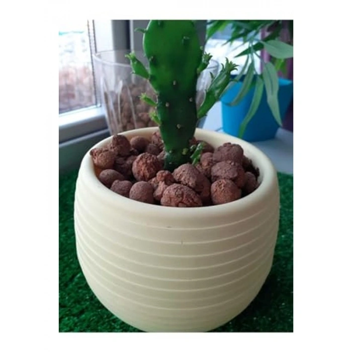 Genleştirilmiş Hidroponik Kil Bilyesi, 2 Litre