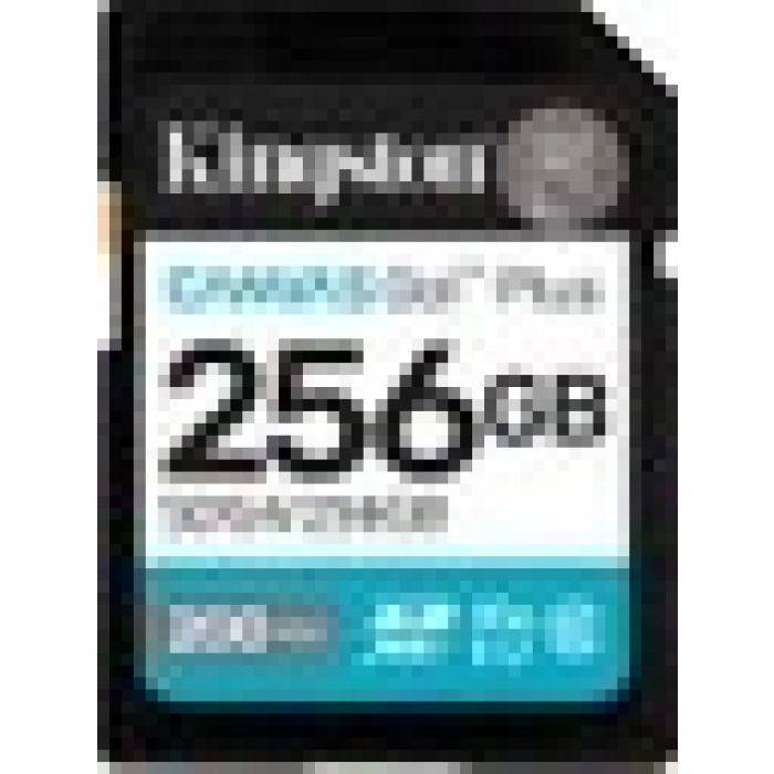 Kıngston 256GB Sd Canvas Go+ SDG4/256GB