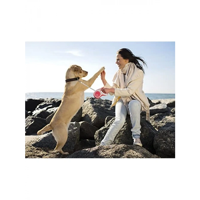 Kırmızı 5MT Şerit Tasma, M Beden için Uygun