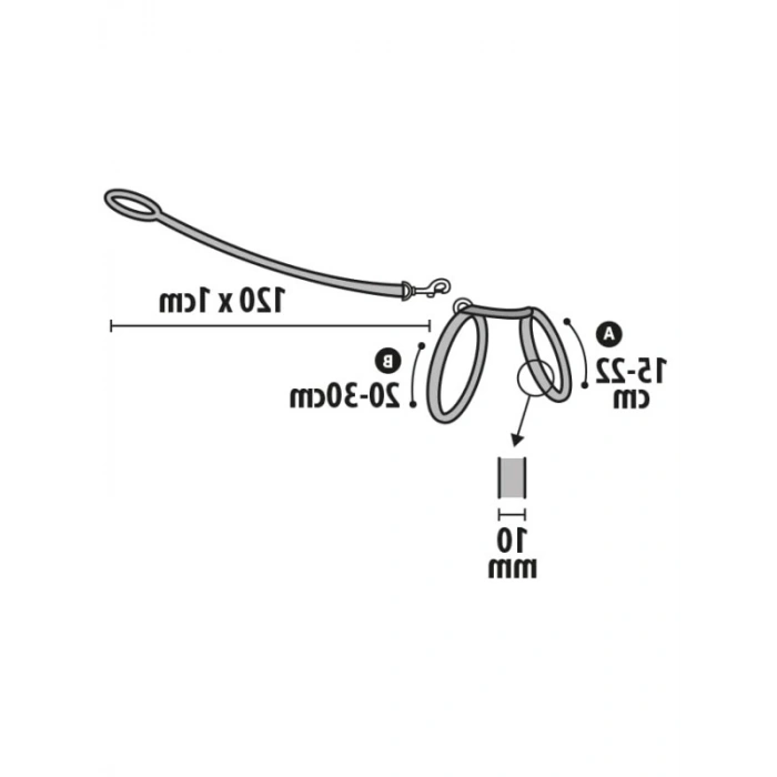 Kırmızı Evcil Hayvan Tasması ve Uzatma, 120 cm (2 Paket)