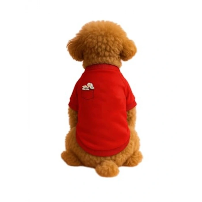Kırmızı Sweatshirt, Papatya Cep Tasarımı, XL Boyut
