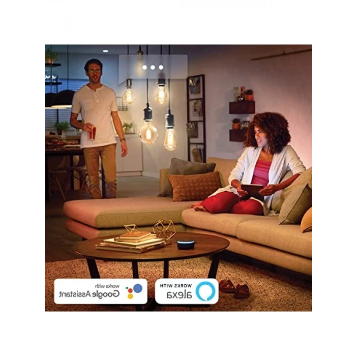 Kısılabilir Filament A60 E27 Ampul - Sıcak Beyaz Işık