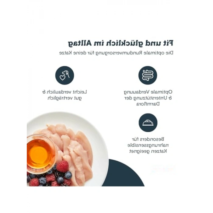 Kısırlaştırılmış Kedi Maması 4 Kilogram