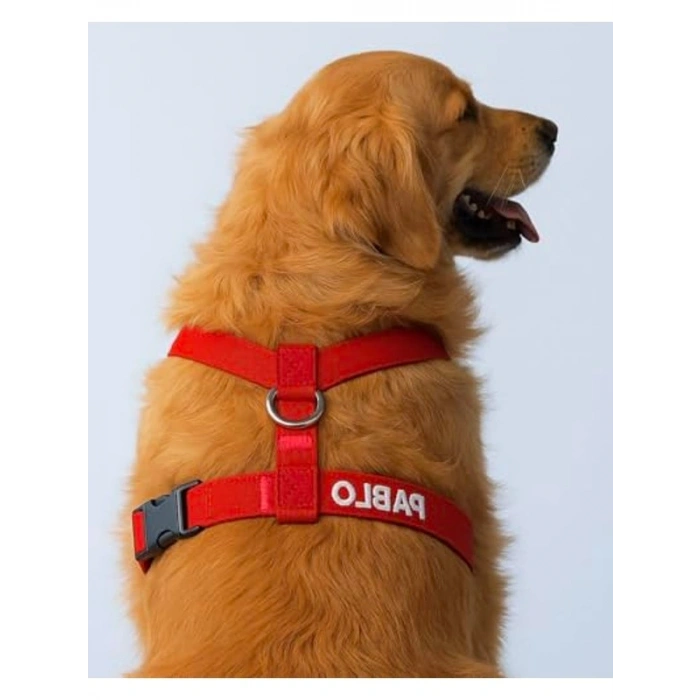 Kişiye Özel Numaralı Güvenlik Amaçlı Köpek Göğüs Tasması