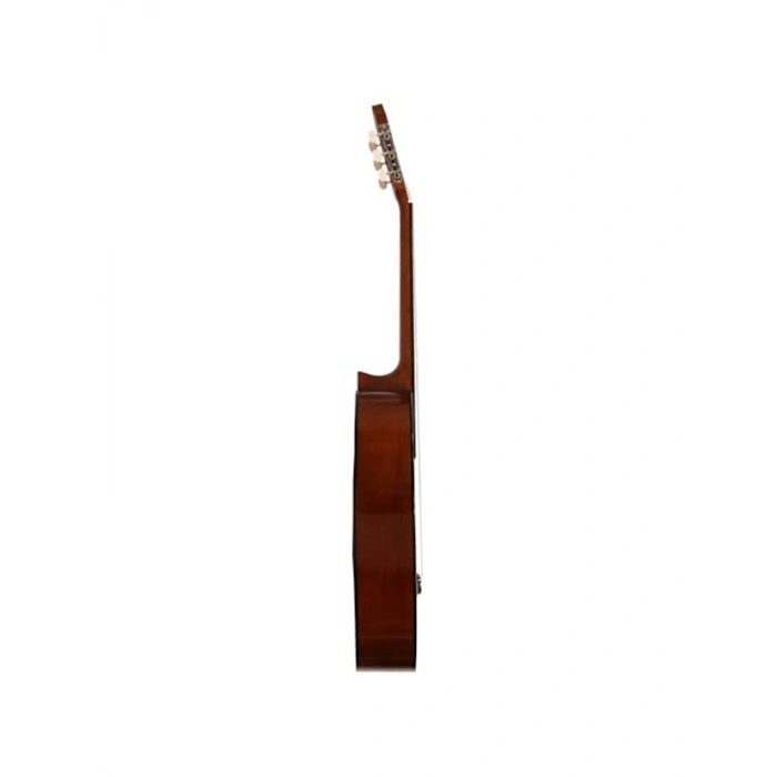 Klasik Gitar, Dört Tel ile Zengin Ses Deneyimi