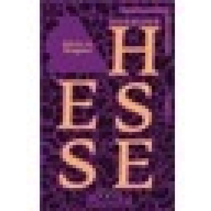 Klein ve Wagner - Hermann Hesse