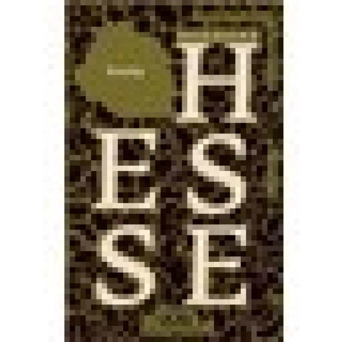 Knulp - Hermann Hesse