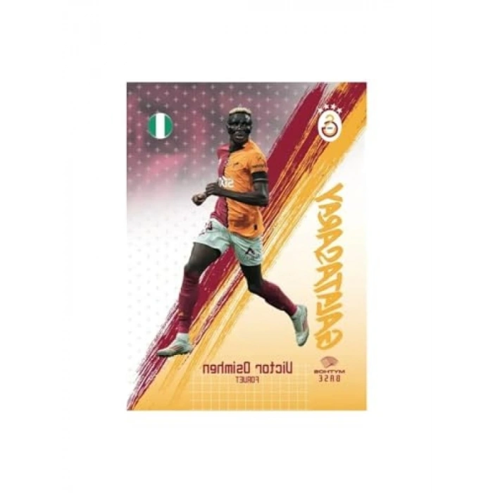 Koleksiyon Kartları - 24/25 Sezon Karton Kutu