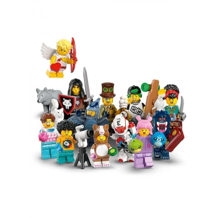 Koleksiyonluk Minifigür Seti - Gizemli Kutu