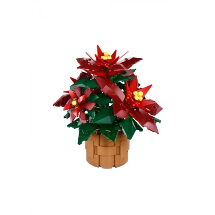 Koleksiyonluk Poinsettia Modeli – Yaratıcı Yapım Seti