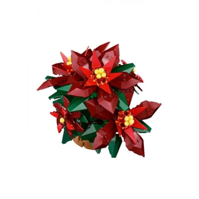 Koleksiyonluk Poinsettia Modeli – Yaratıcı Yapım Seti