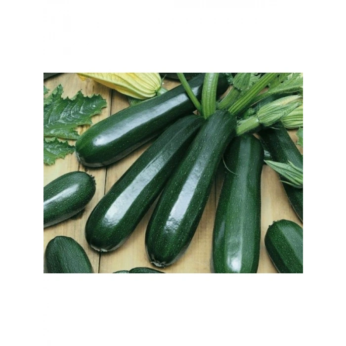 Kolsuz Kara Kabak Tohumu - Sofralık