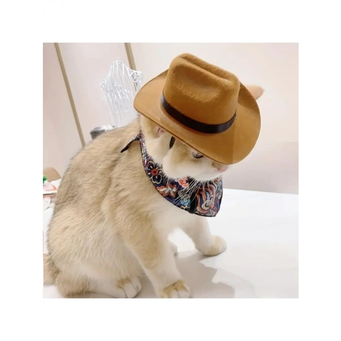 Komik Kovboy Şapkası – Evcil Kedi Kostümü