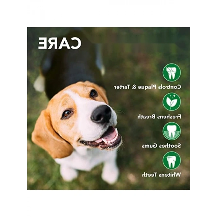 Köpek Ağız Bakım Köpüğü - 150 ml (2 Paket)