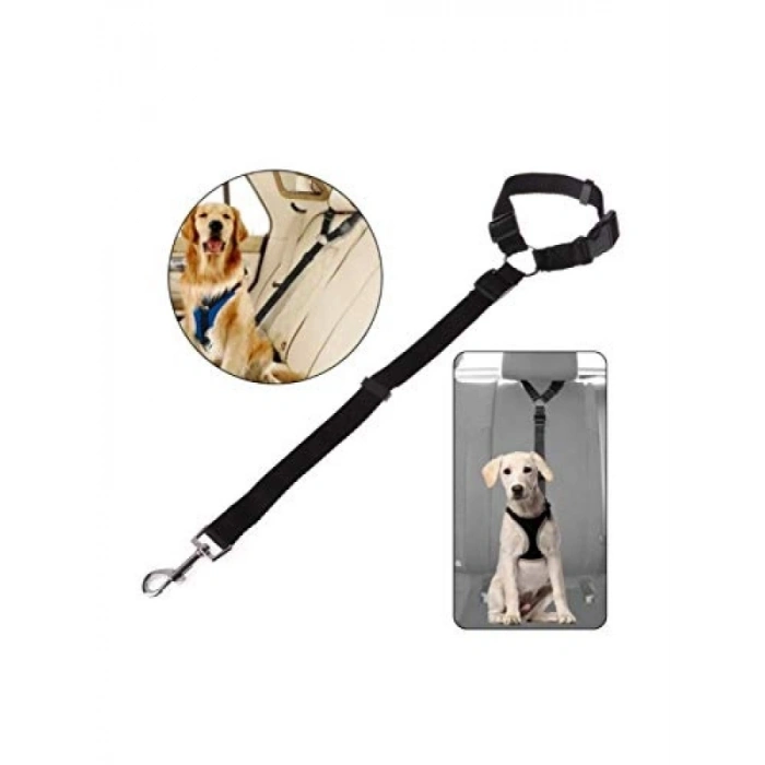 Köpek Araç Emniyet Kemeri ve Gezdirme Tasması