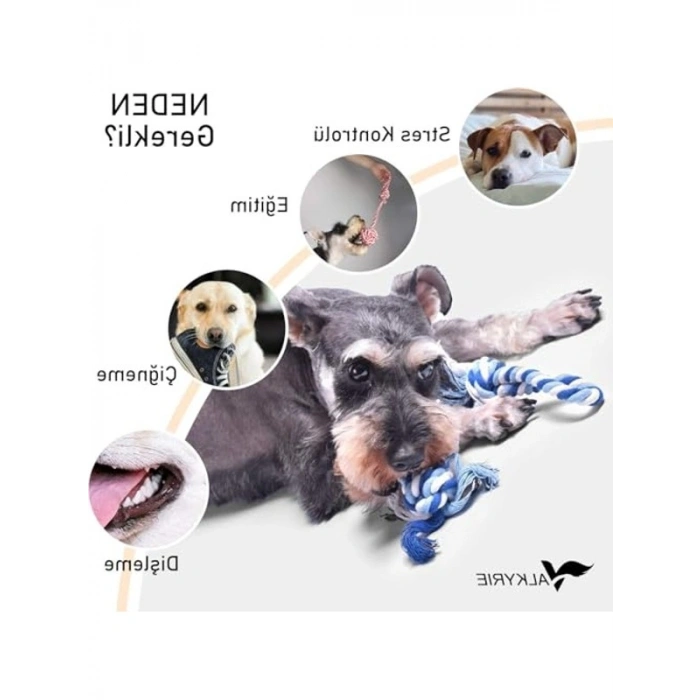 Köpek Diş İpi Oyuncağı Seti, 4lü Isırma ve Eğitim Topları