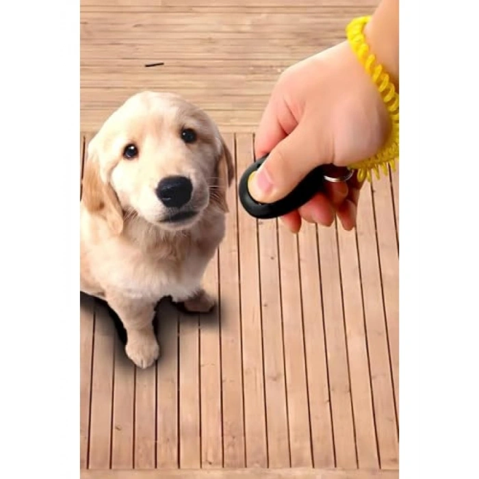 Köpek Eğitim Clicker Aparatı - Tuvalet Eğitimi İçin