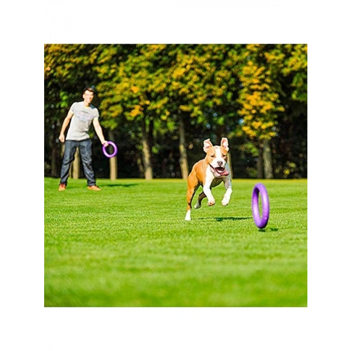 Köpek Eğitim Halkası - 2 Adet Set