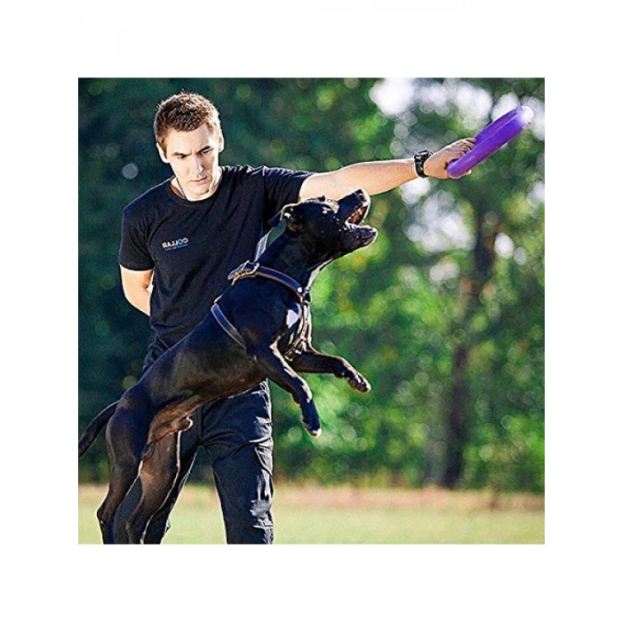 Köpek Eğitim Halkası - 2 Adet Set