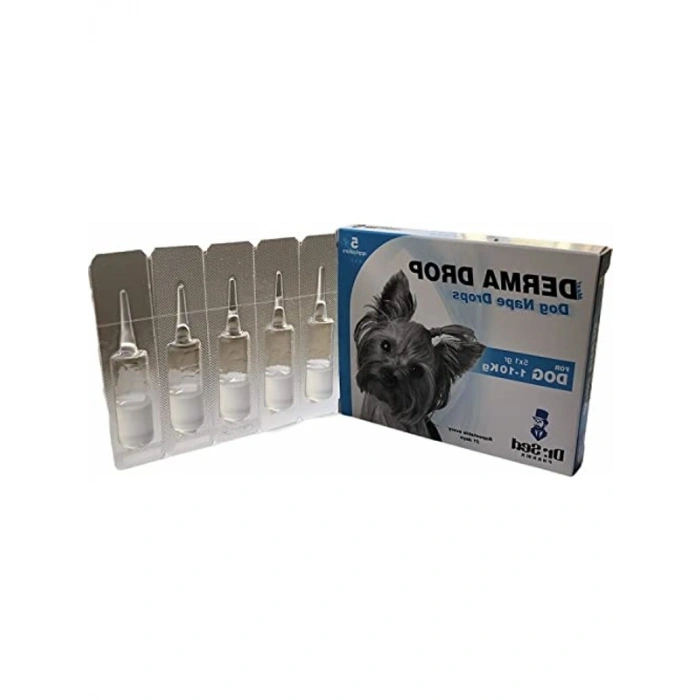 Köpek Ense Damlası, 5x1 GR