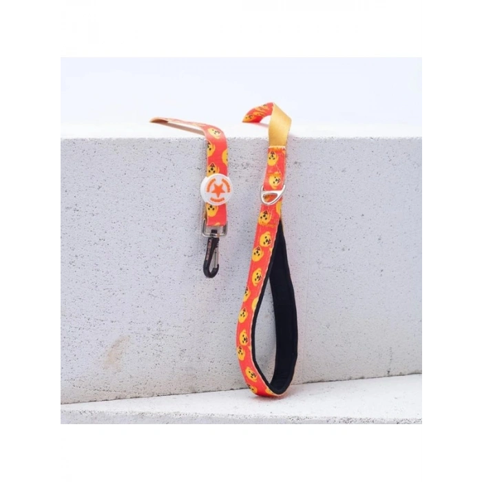 Köpek Gezdirme Kayışı - 120 cm Uzunluk, 2 cm Genişlik