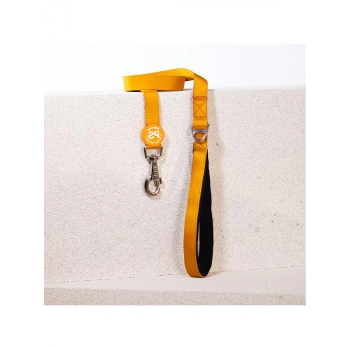 Köpek Gezdirme Kayışı, 120 cm x 2 cm, Dayanıklı