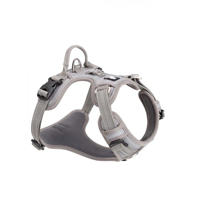 Köpek Tasması TLH56512 (XL, Gri)