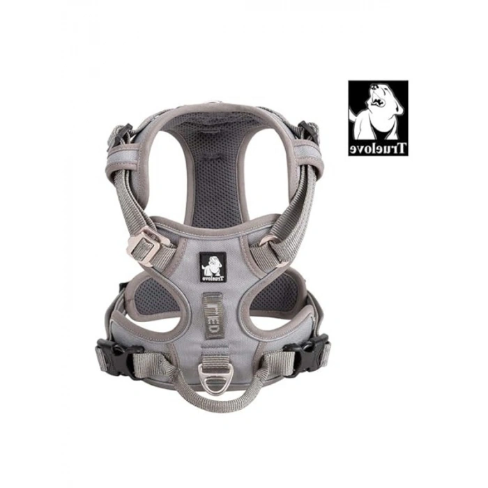 Köpek Tasması TLH56512 (XL, Gri)