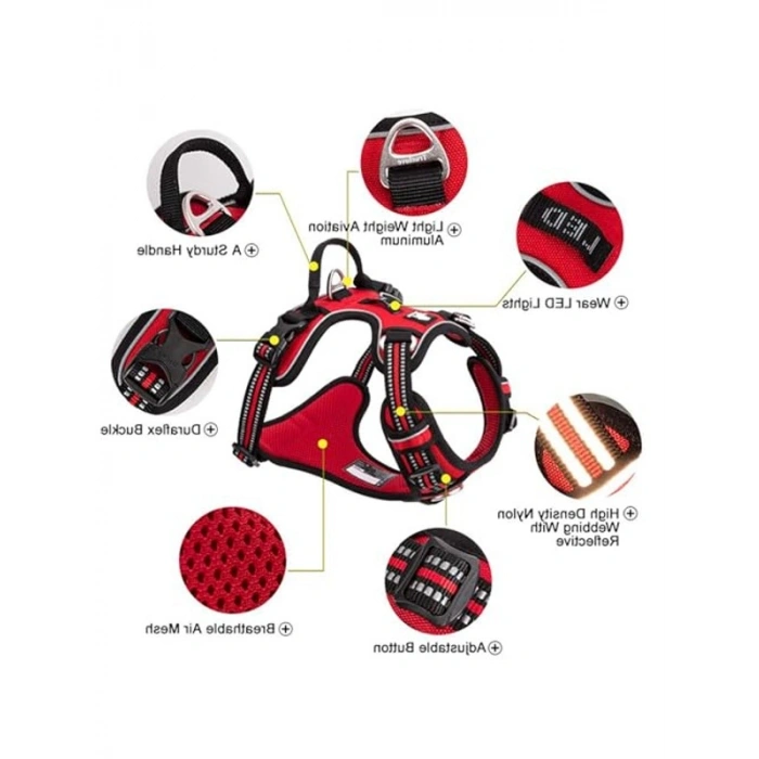 Köpek Tasması TLH56512 (XL, Gri)