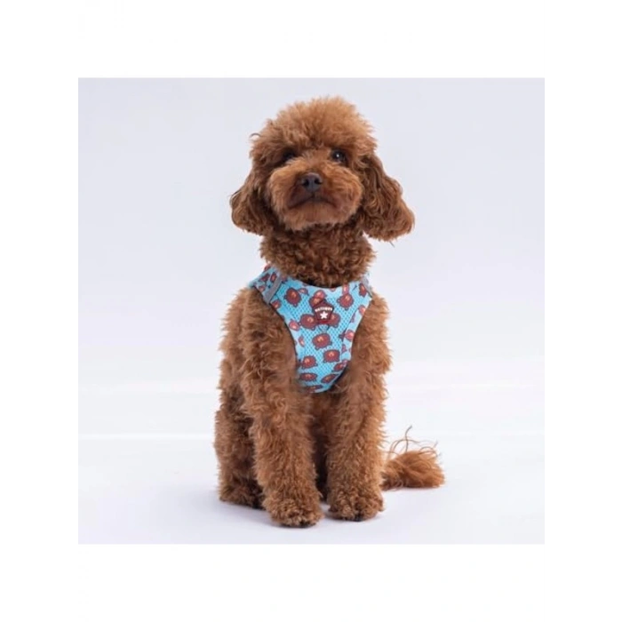 Köpekler İçin Air-Mesh Göğüs Tasması, XS Boyut