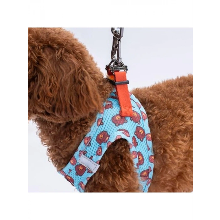Köpekler İçin Air-Mesh Göğüs Tasması, XS Boyut