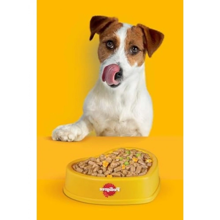 Köpekler İçin Dentastix Ödül Maması, 110 Gr