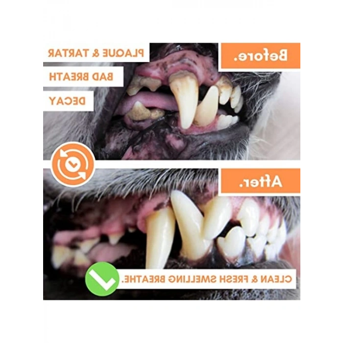 Köpekler İçin Diş Mendilleri