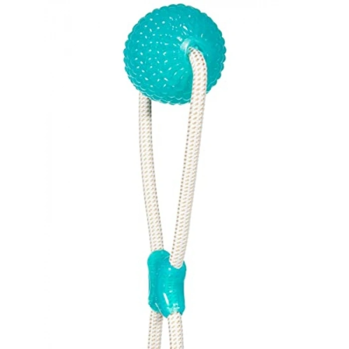 Köpekler İçin Emme Topu Oyuncağı