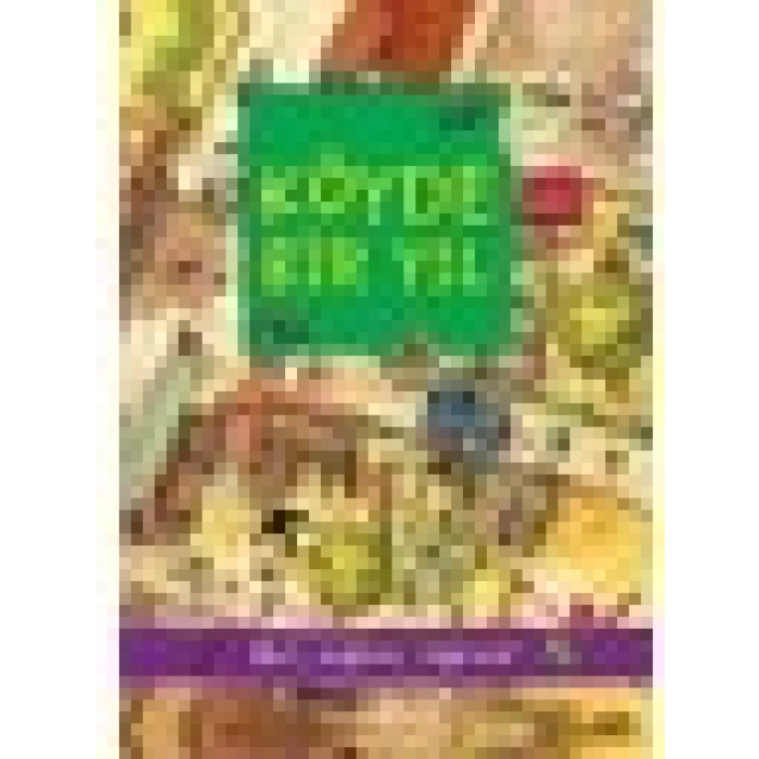 Köyde Bir Yıl